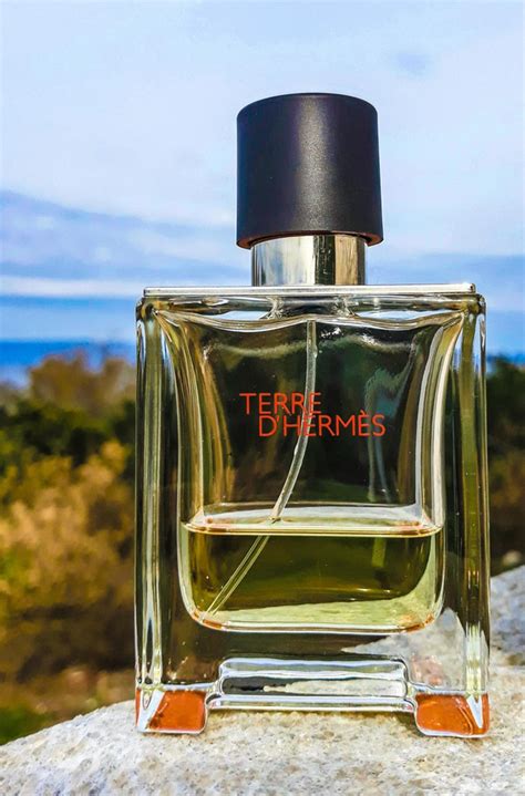 hermes h24 vs terre d'hermes|hermes cologne perfume.